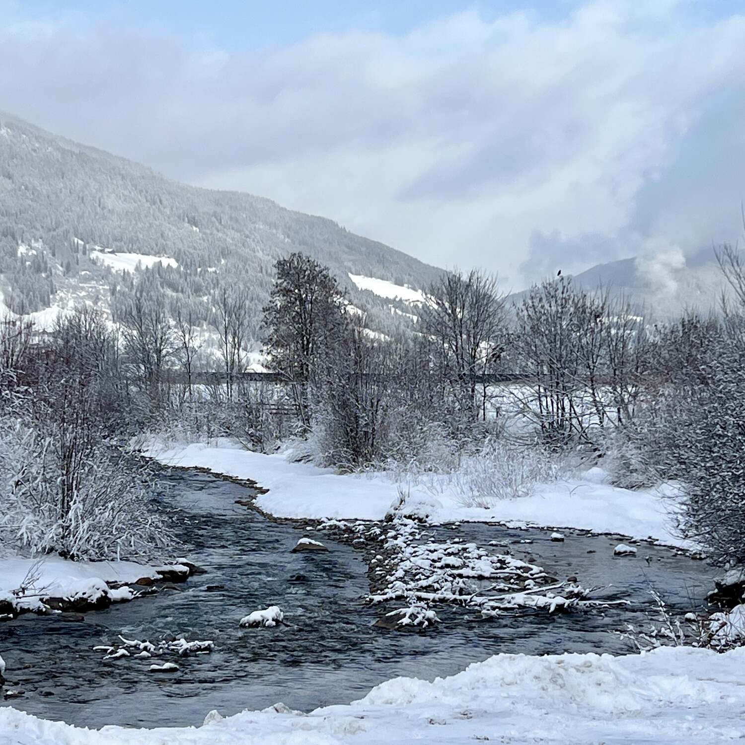 2025 „ab in den Schnee“ ❄️