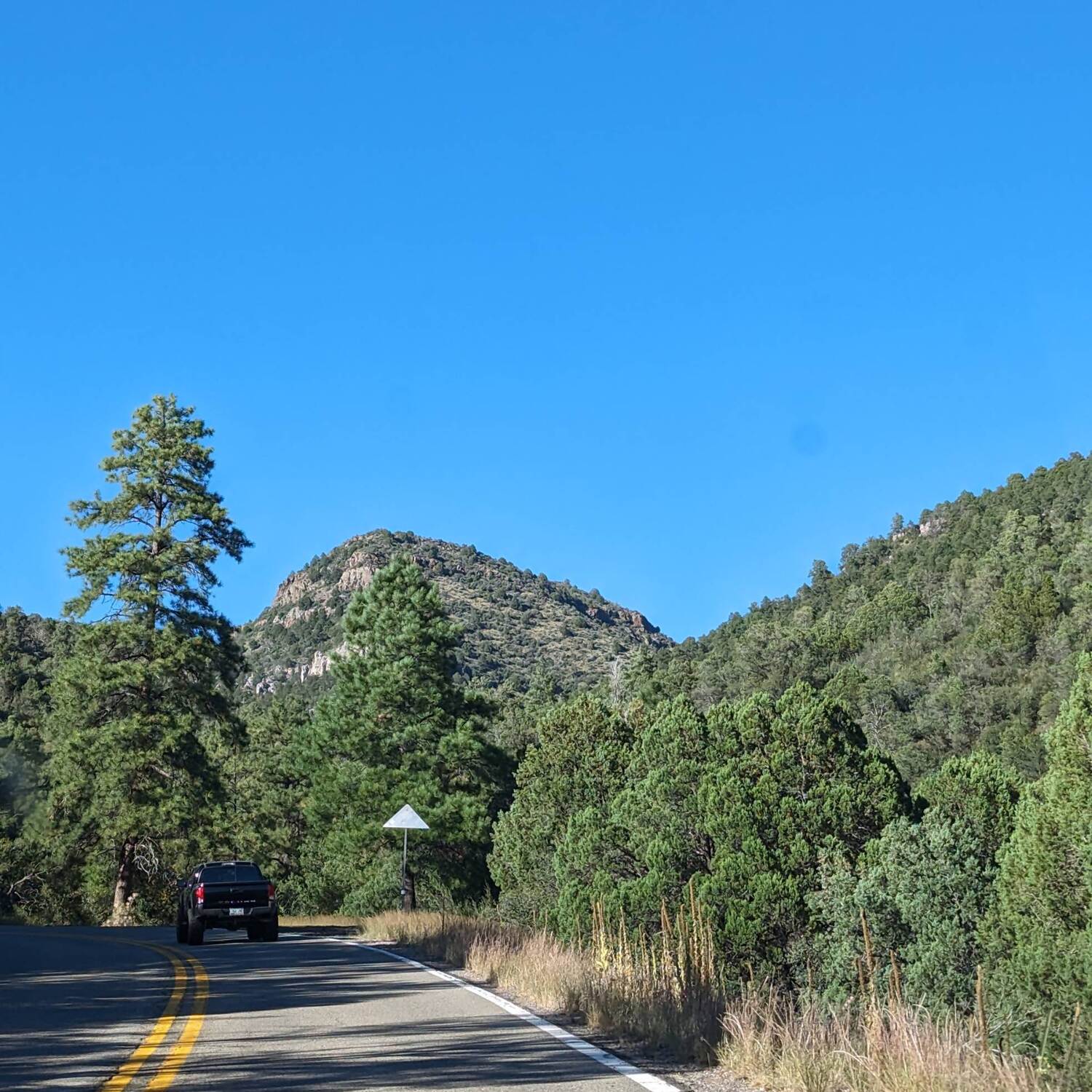 Arizona