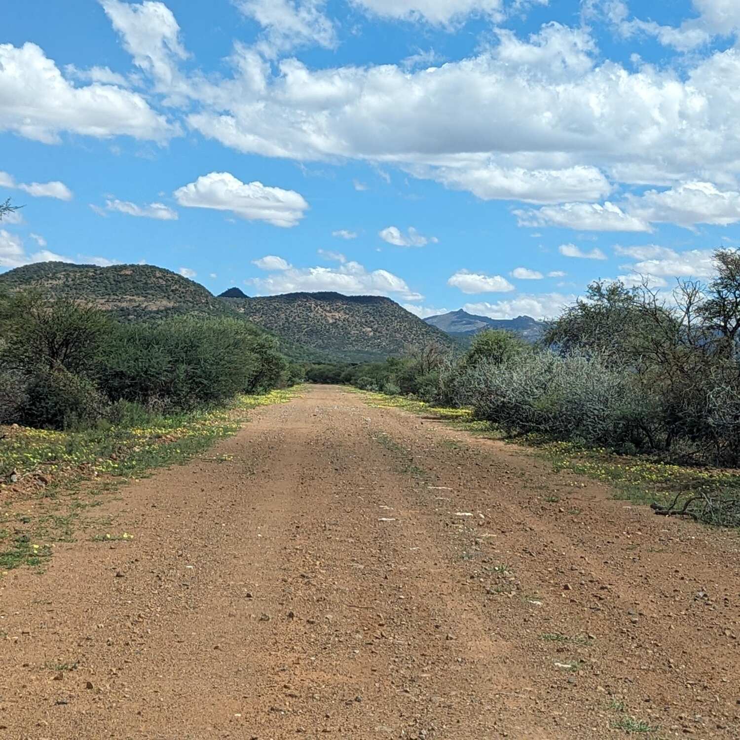 Namibia 2024 - Sand und Steine
