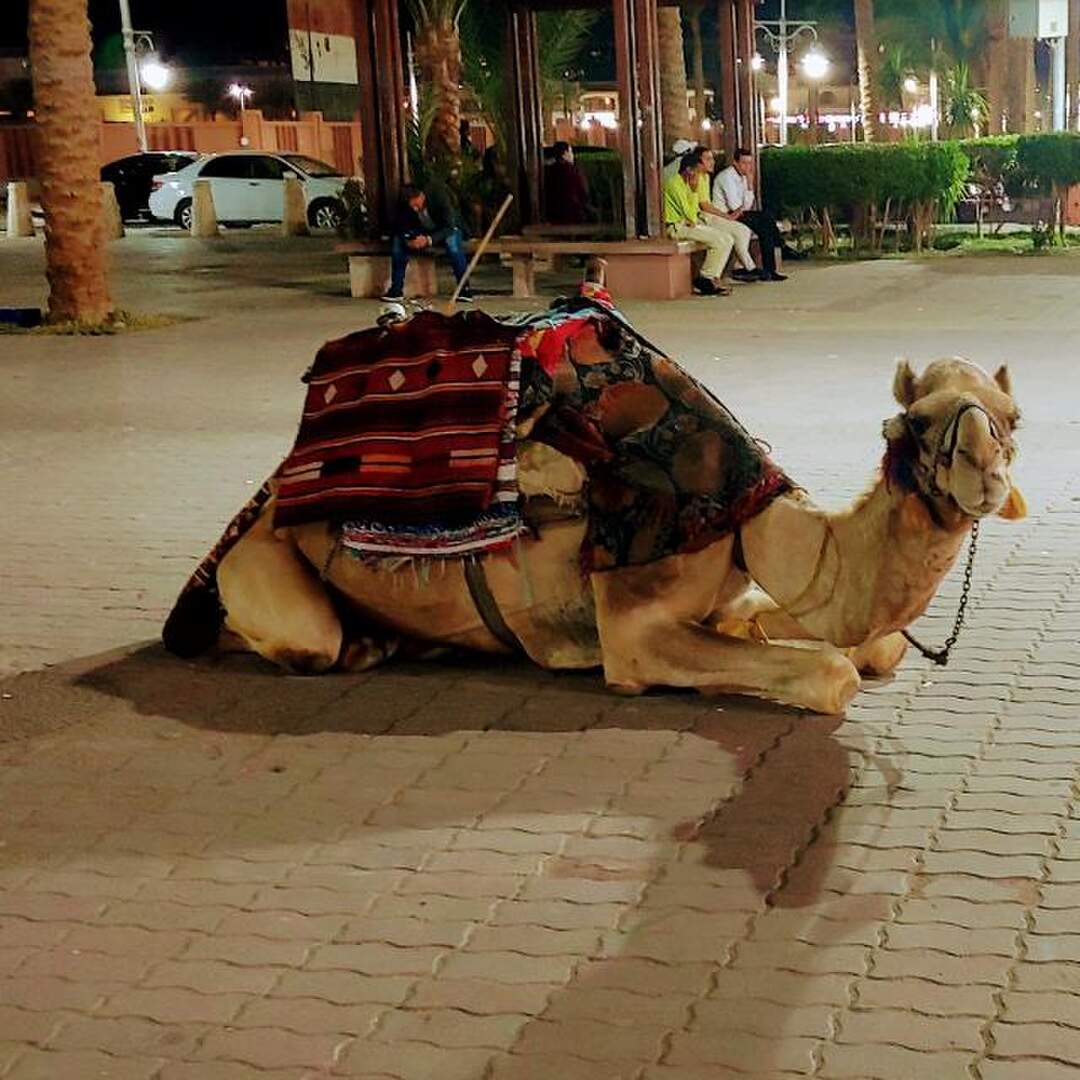 Hurghada, Egypt