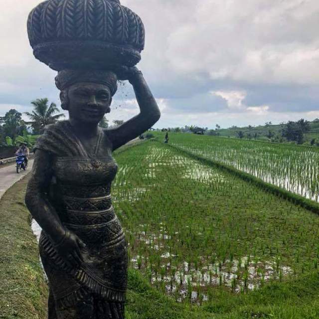 Bali Intro Travel