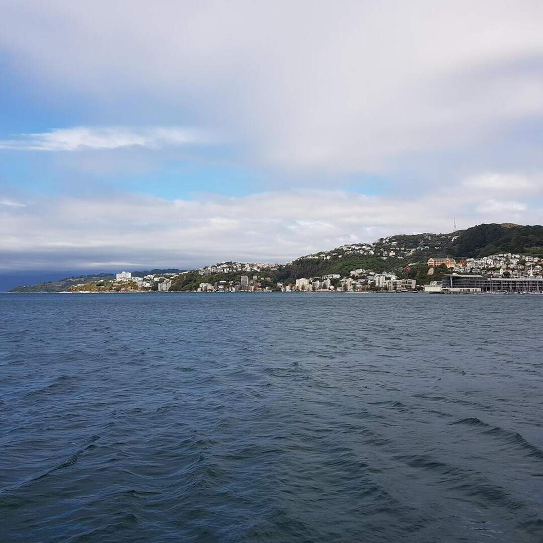 Tripping amongst the kiwis
