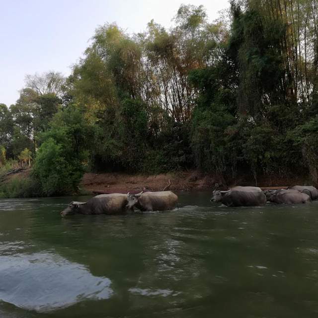 Cambodia