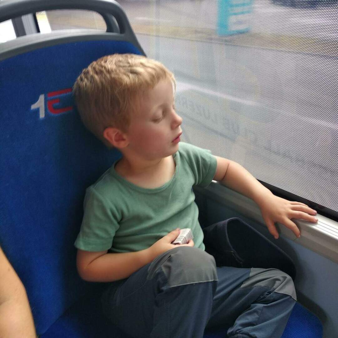 Meggen
