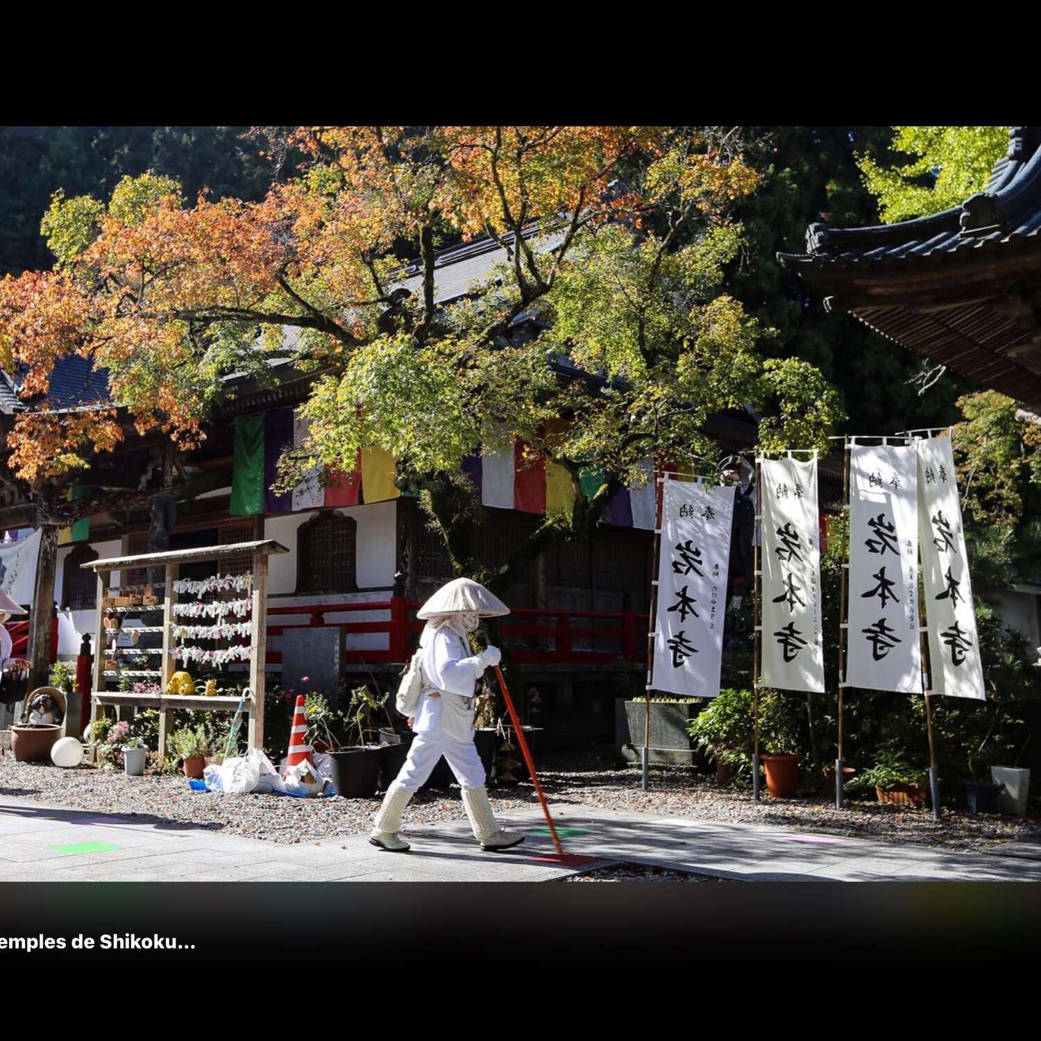 2026 Japan exploration