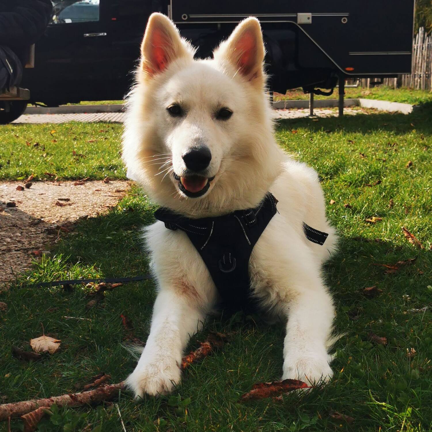 ISSKOS REISETAGEBUCH 2025