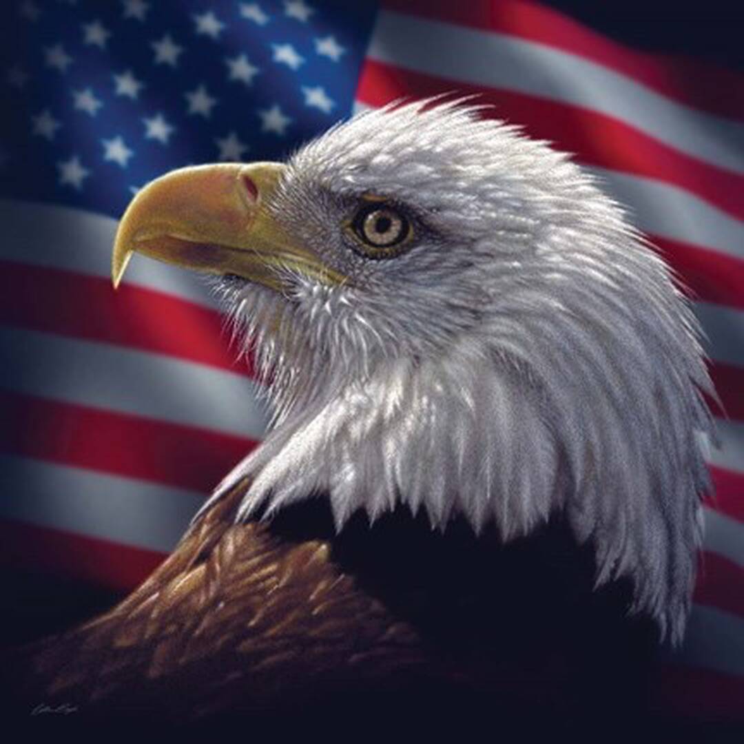 Back in the USA