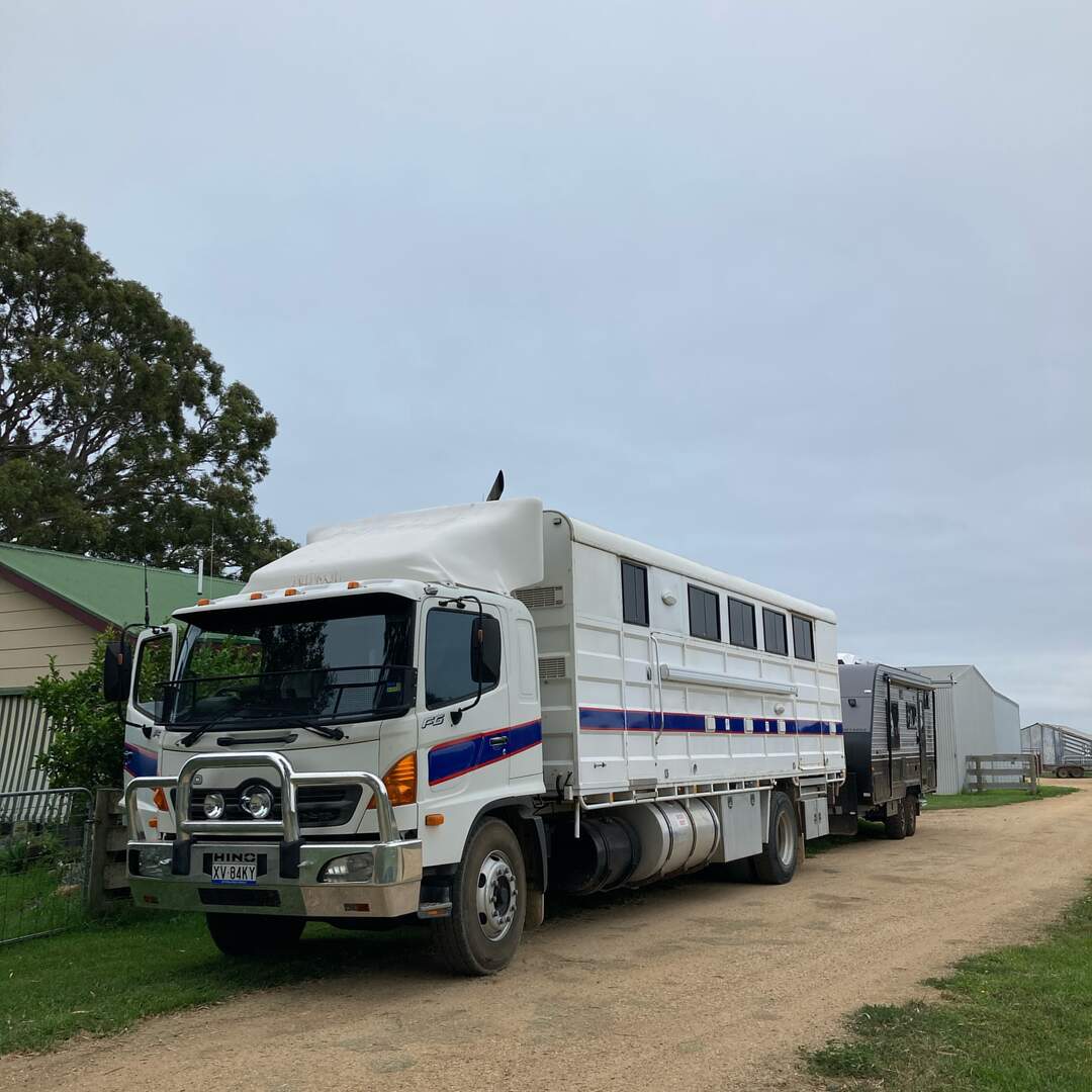 Briagalong Team Penning