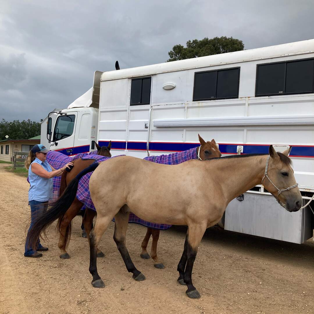Gippsland Team Penning