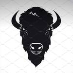 Kai Bison