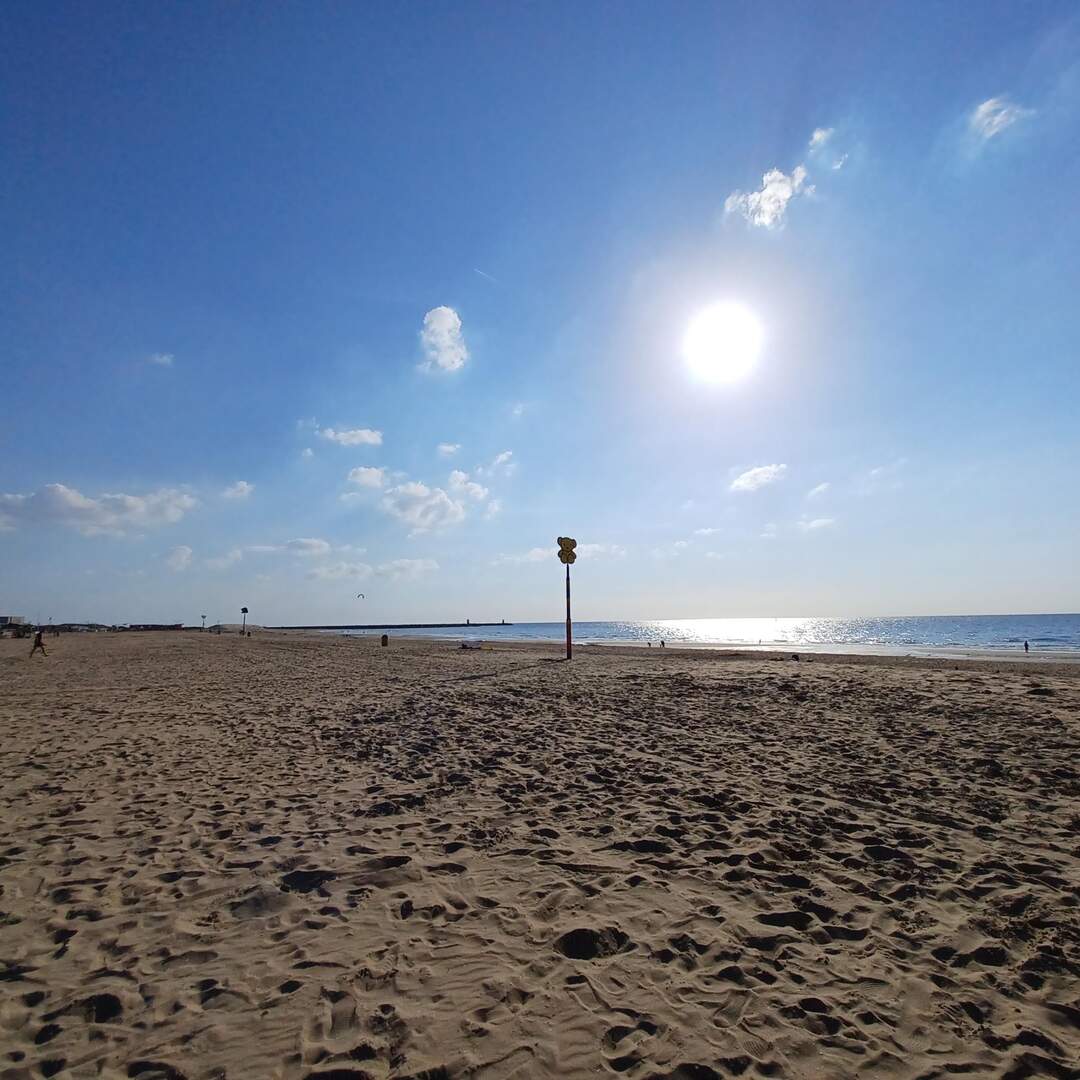 Nordsee und umzu...