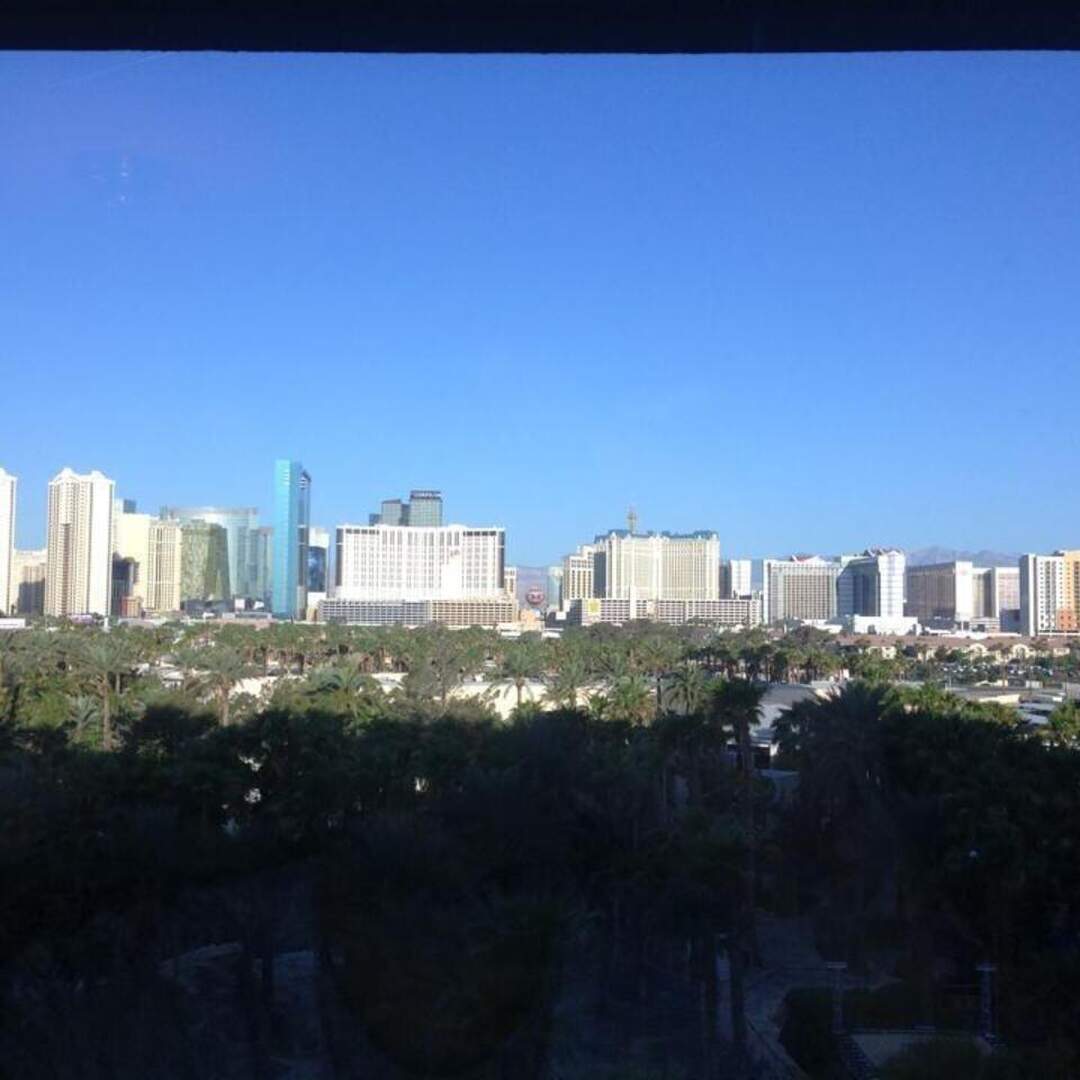 Gambling in Sin City