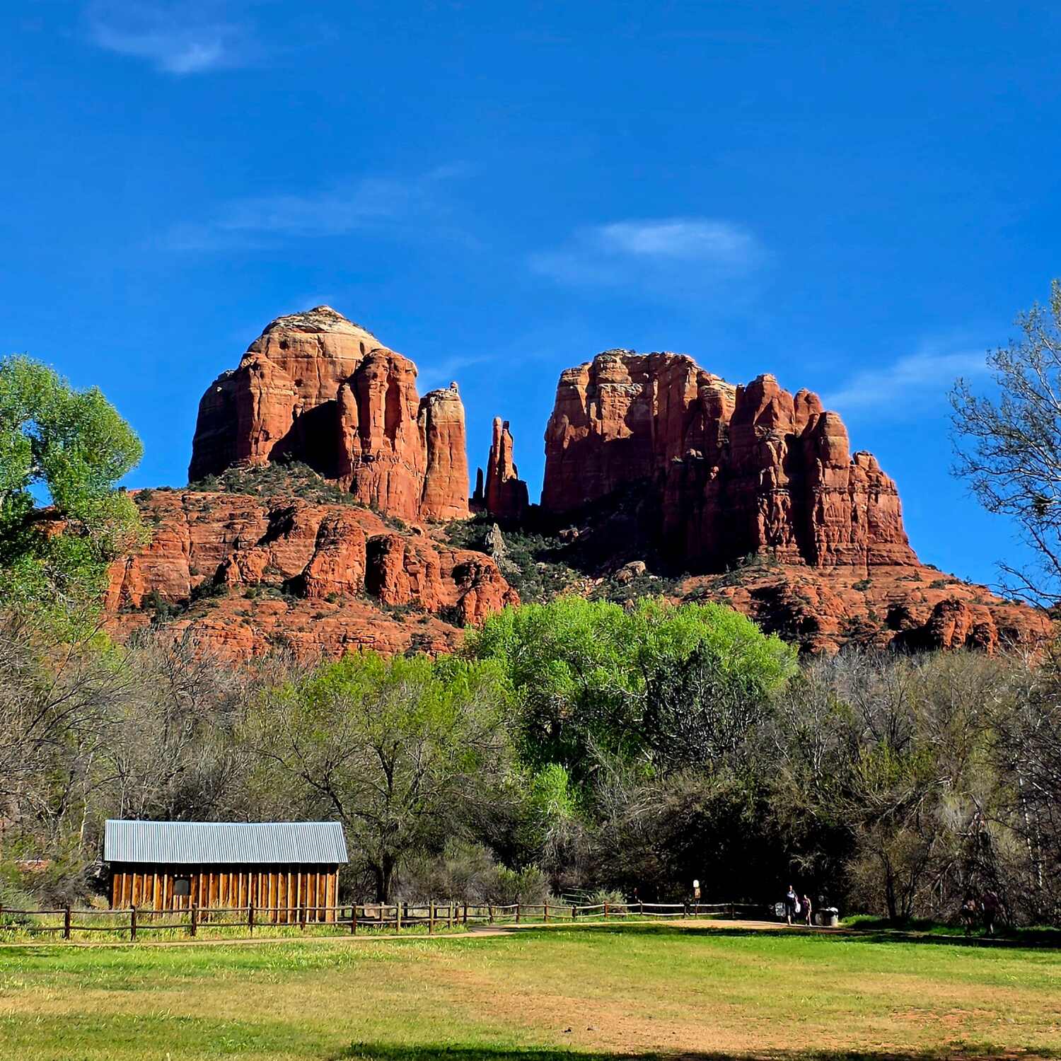 Guimond Sibs March 2026