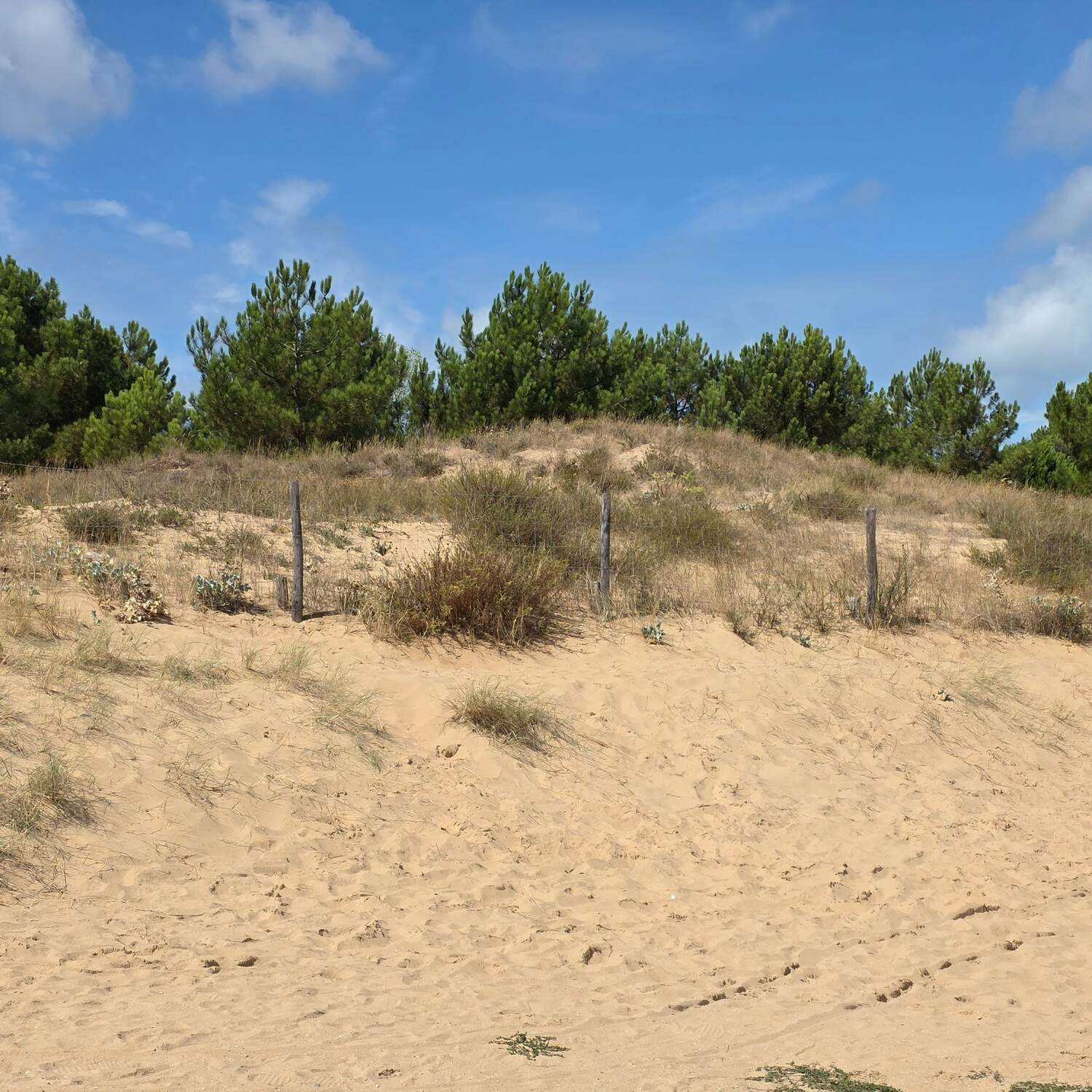 Biarritz - Arcachon