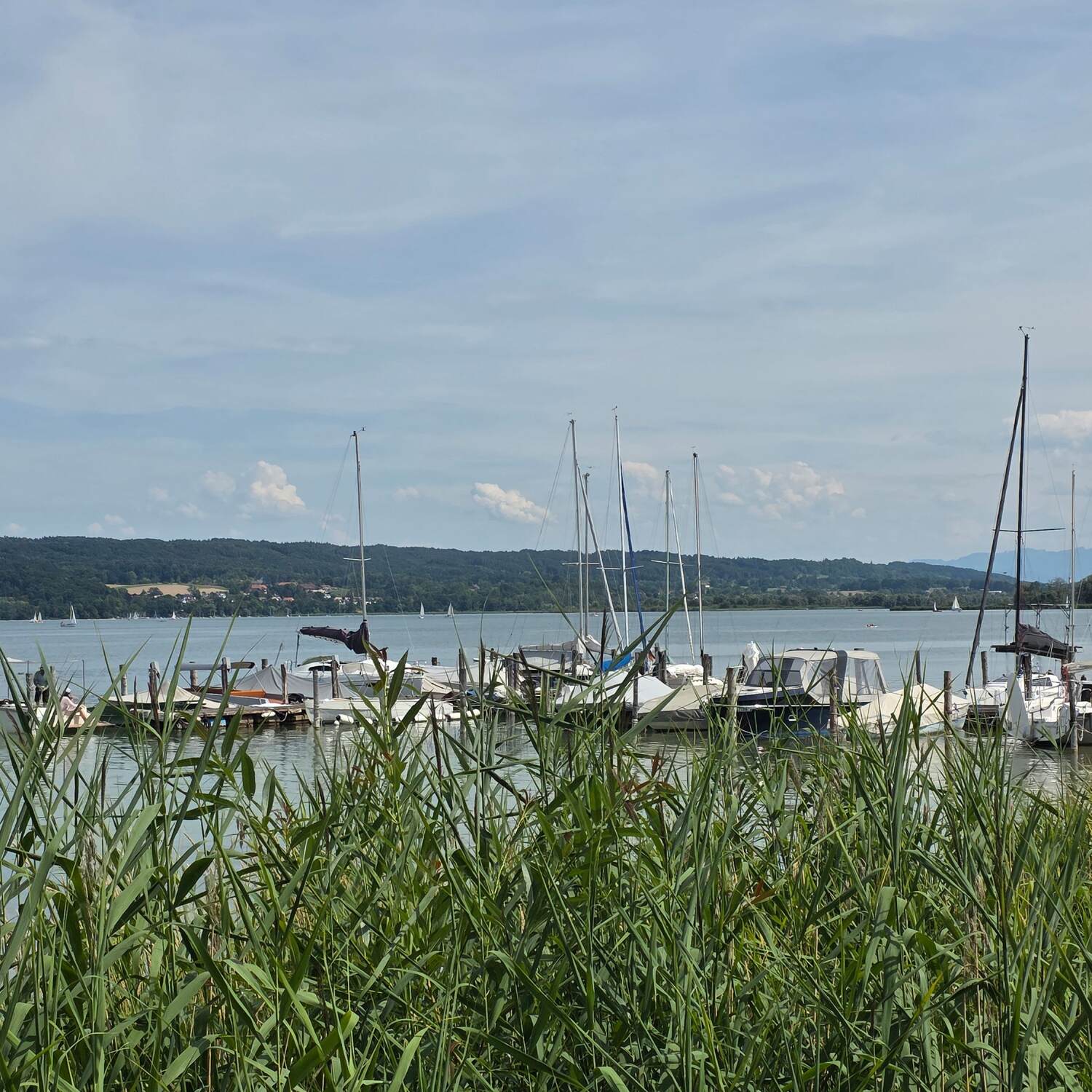 Ammersee