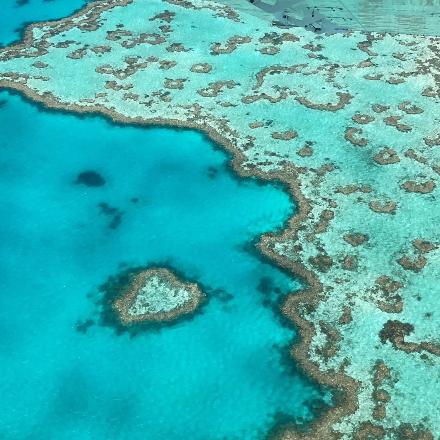 Australien/Australia 2024