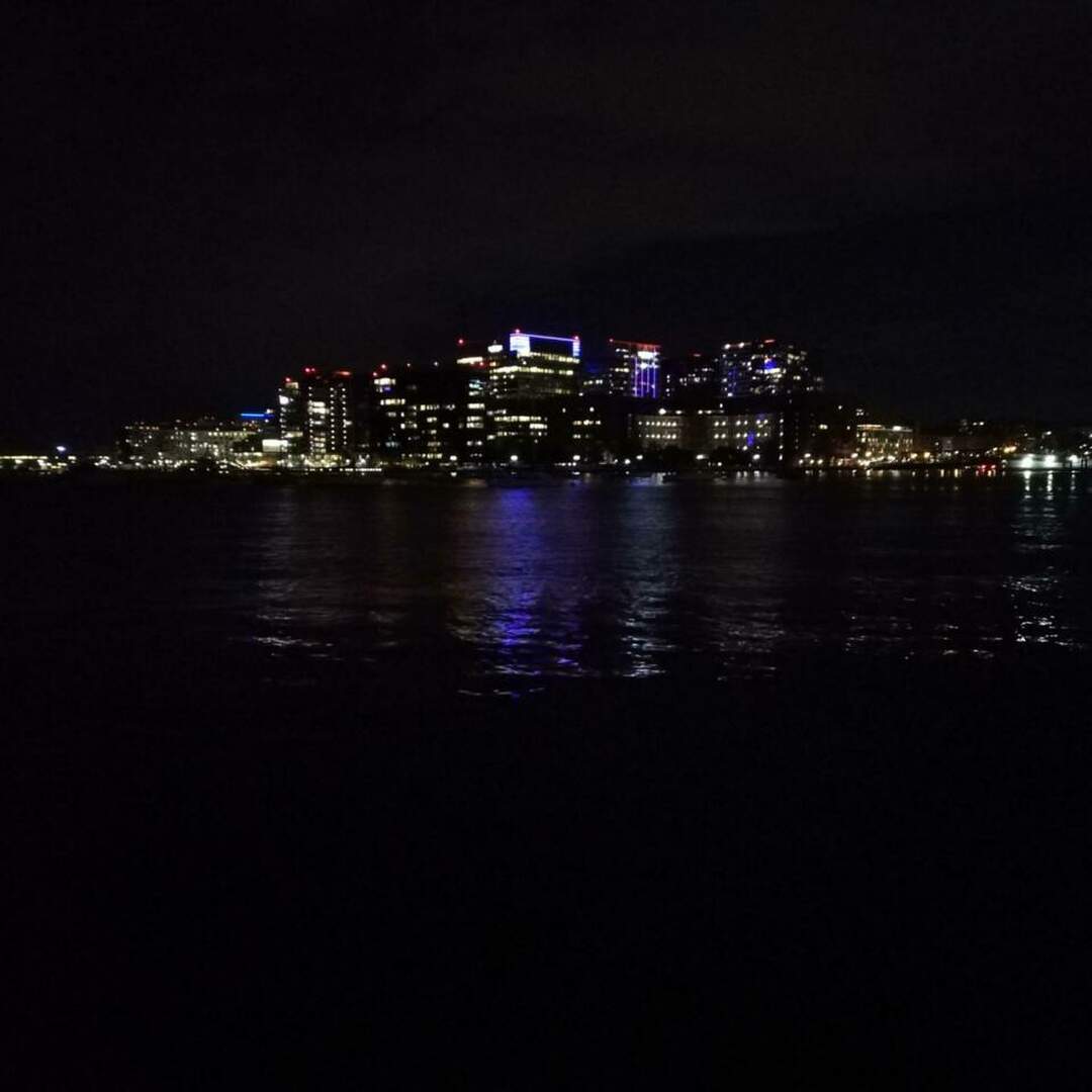 Boston Baby