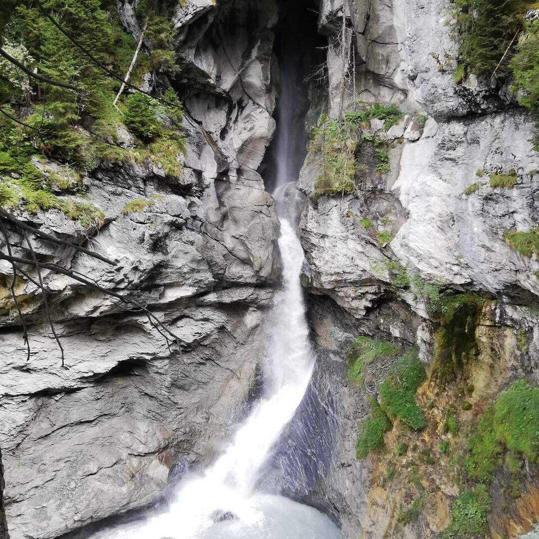 Swiss 2020