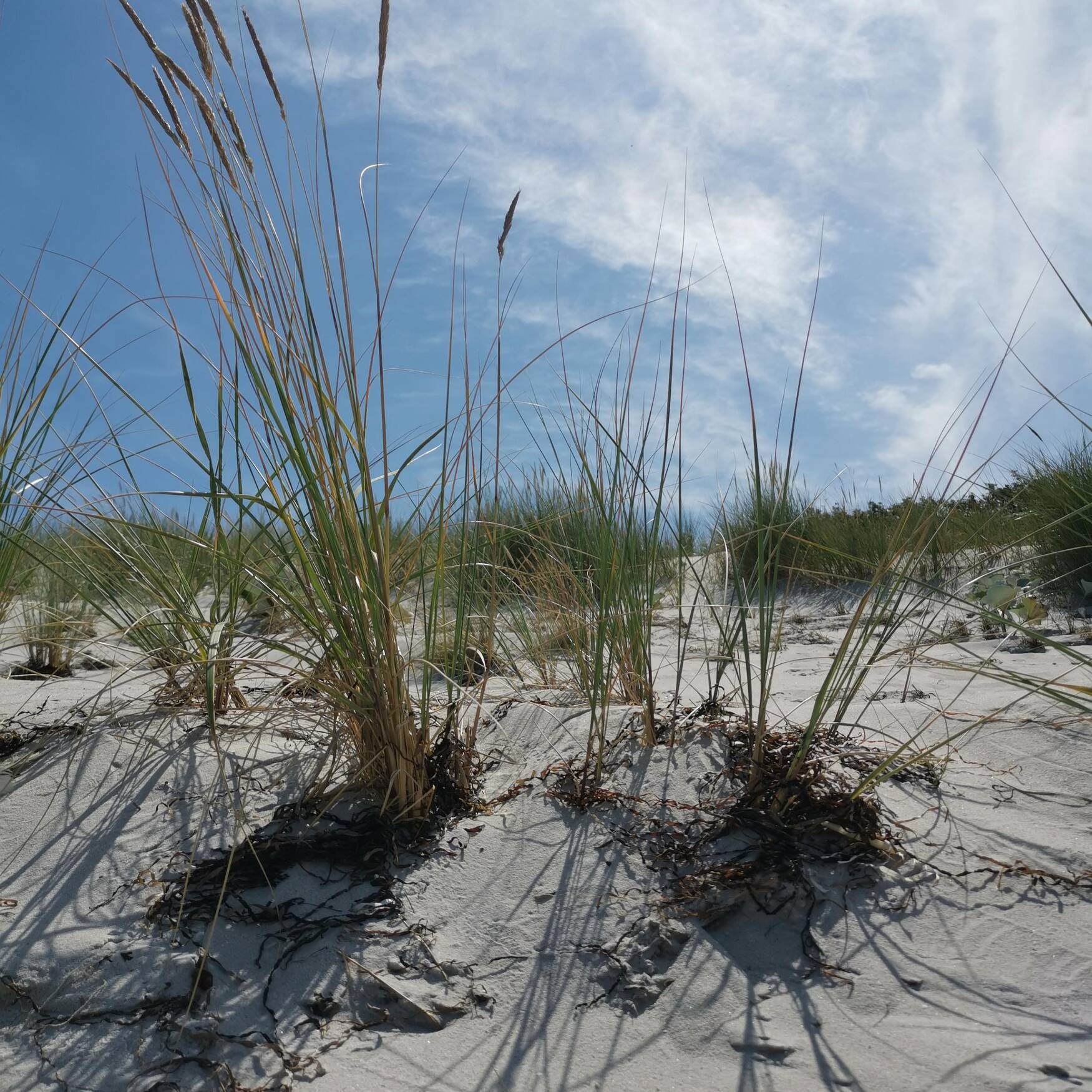 Fischland Darß Zingst