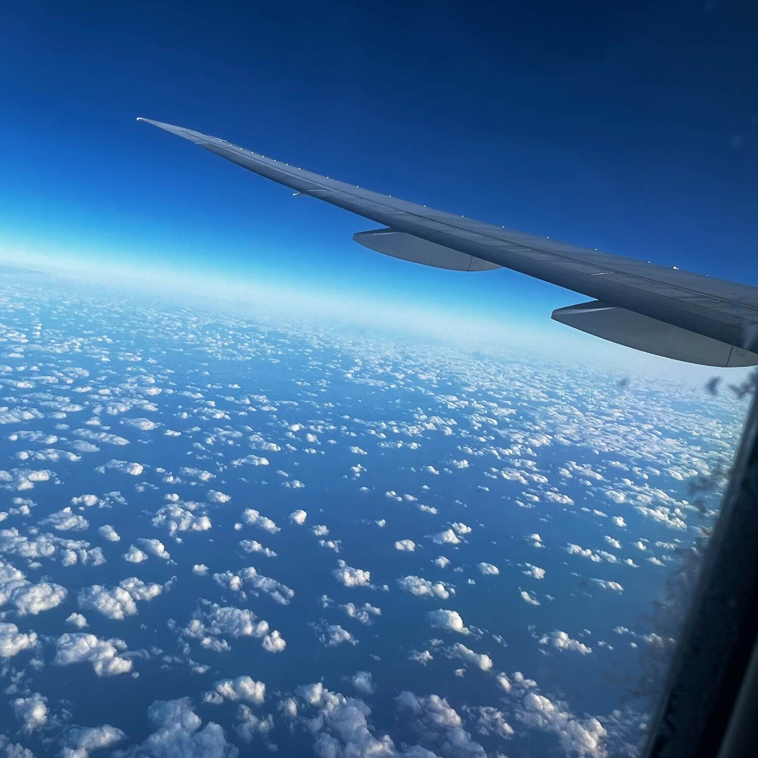 Kreuzfahrt Roger & Claudia ❤️