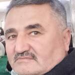 Aslan Çam