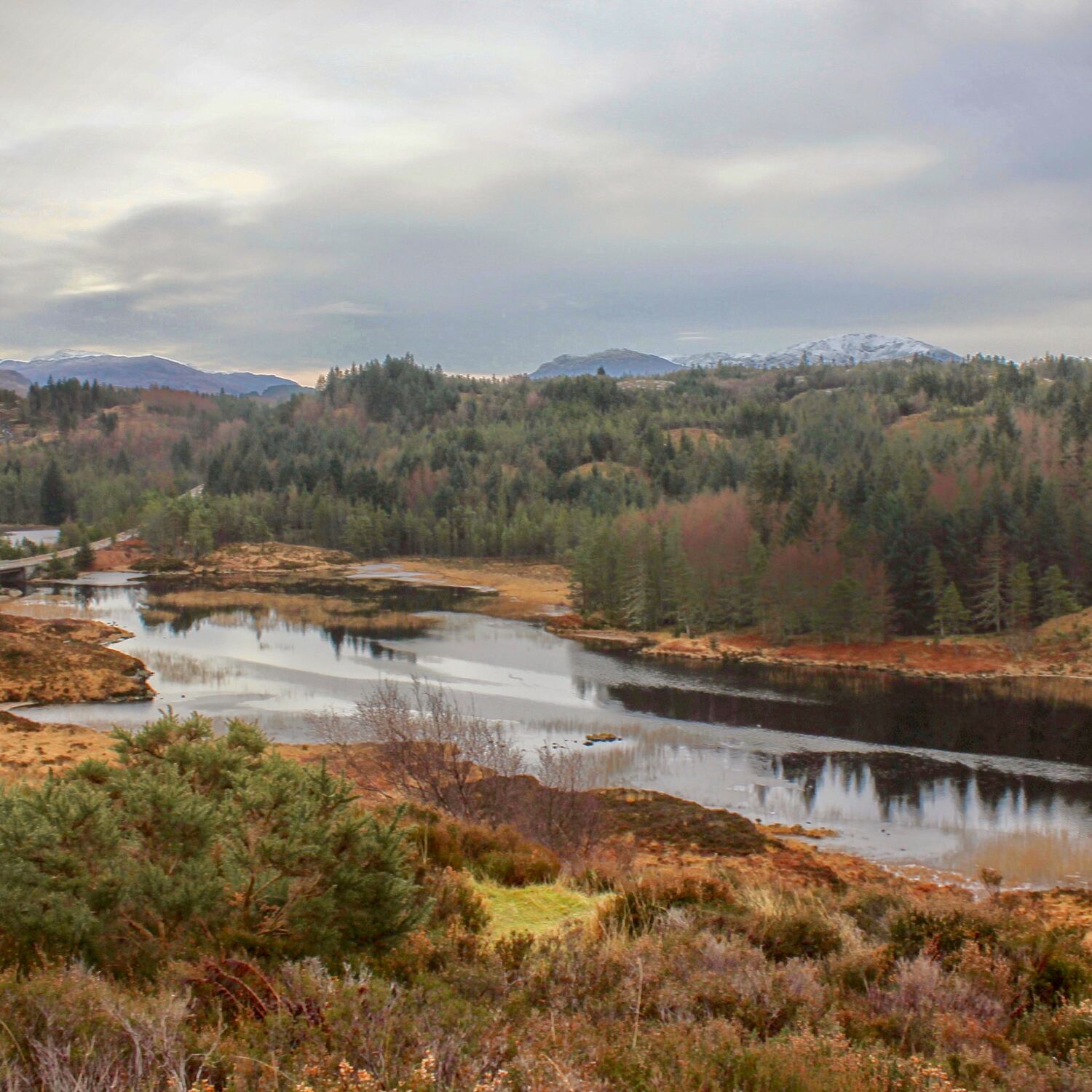 Scotland - Christmas 2014