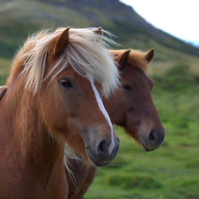 Iceland