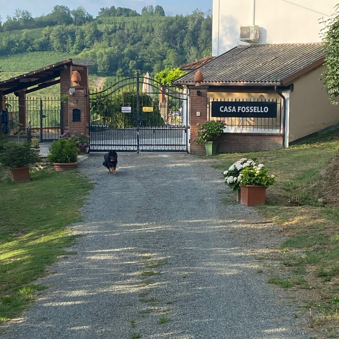 Piemont