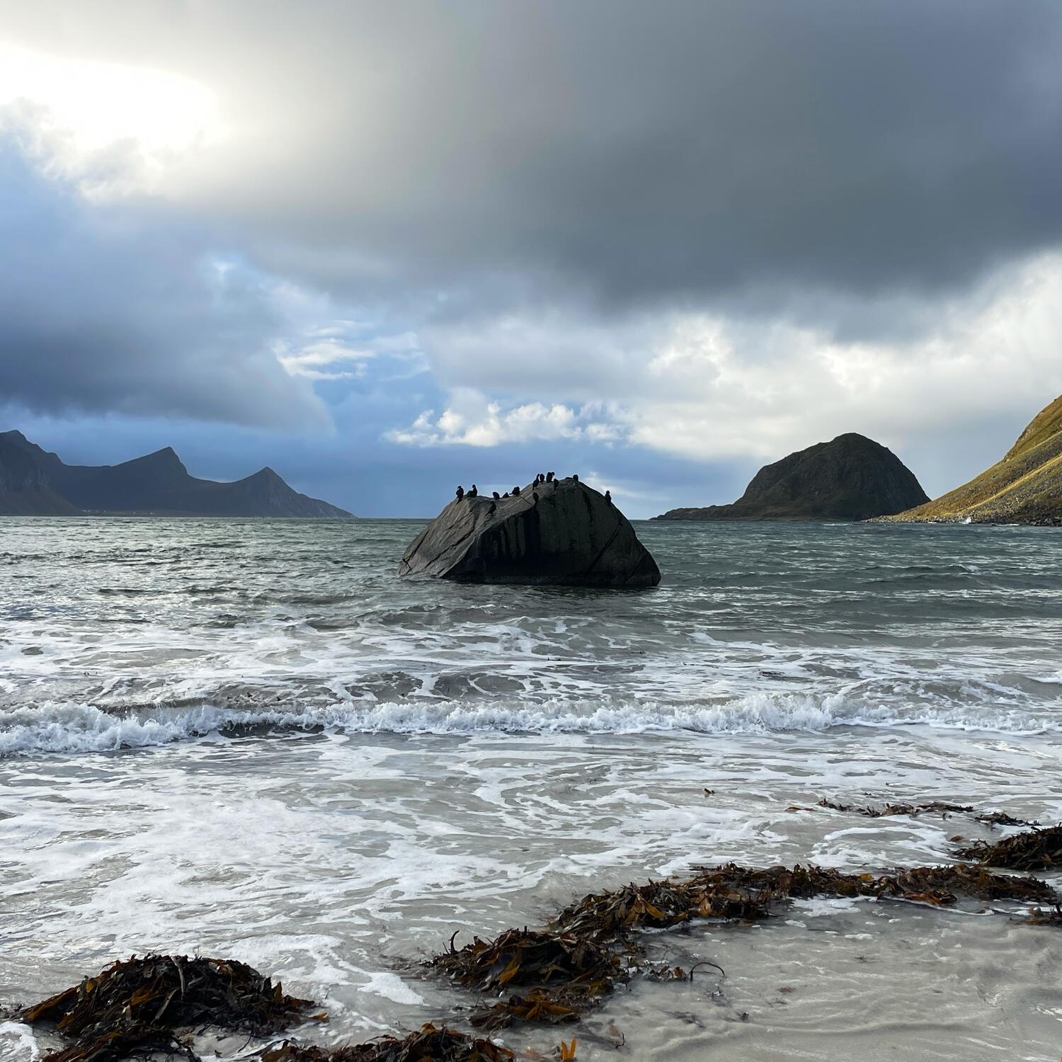 Lofoten Cruise