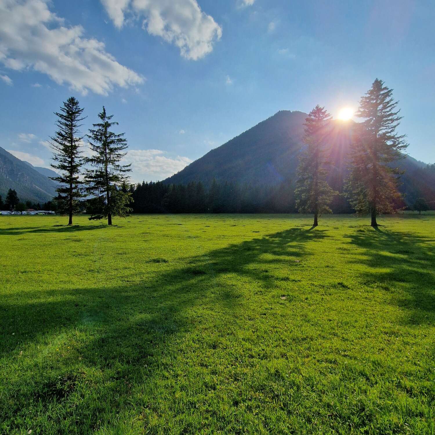 Wohin der Wind den Yeti trägt
