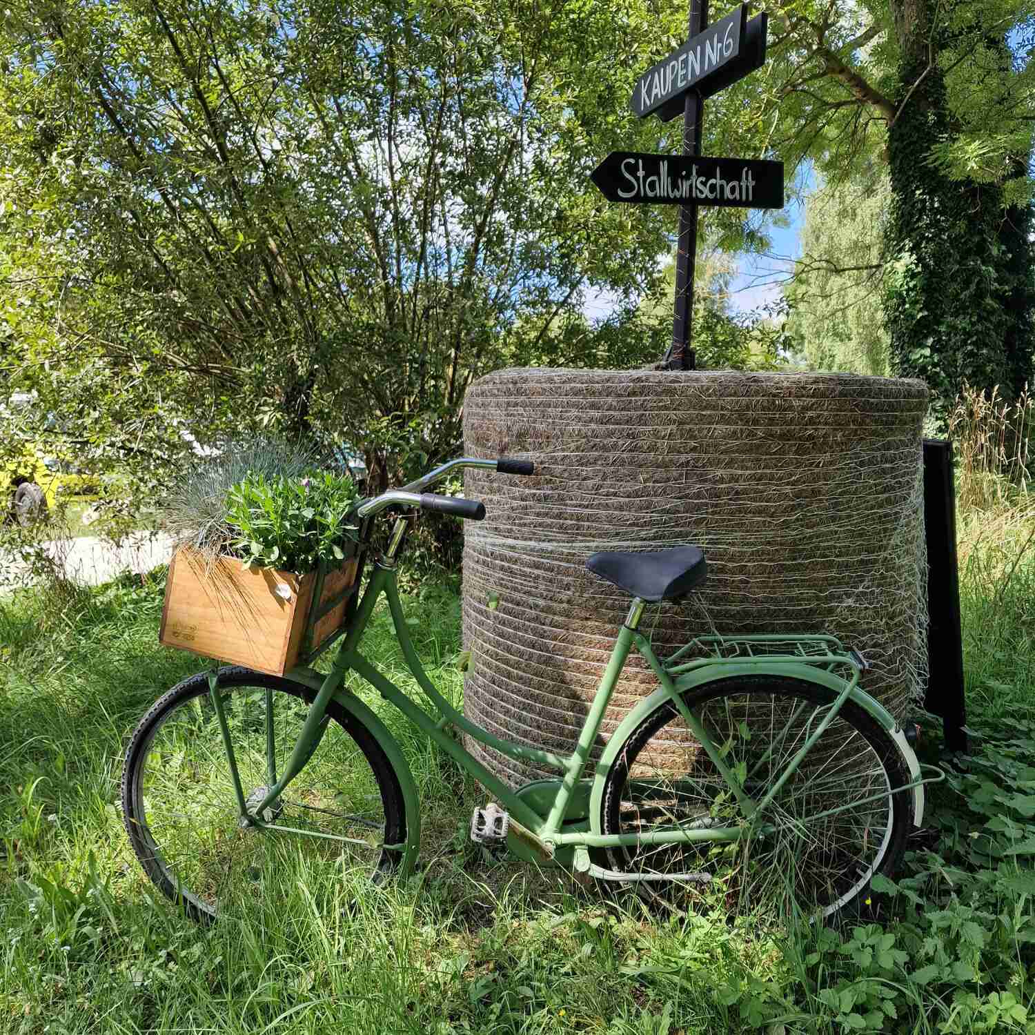 Kleine Sommerpause