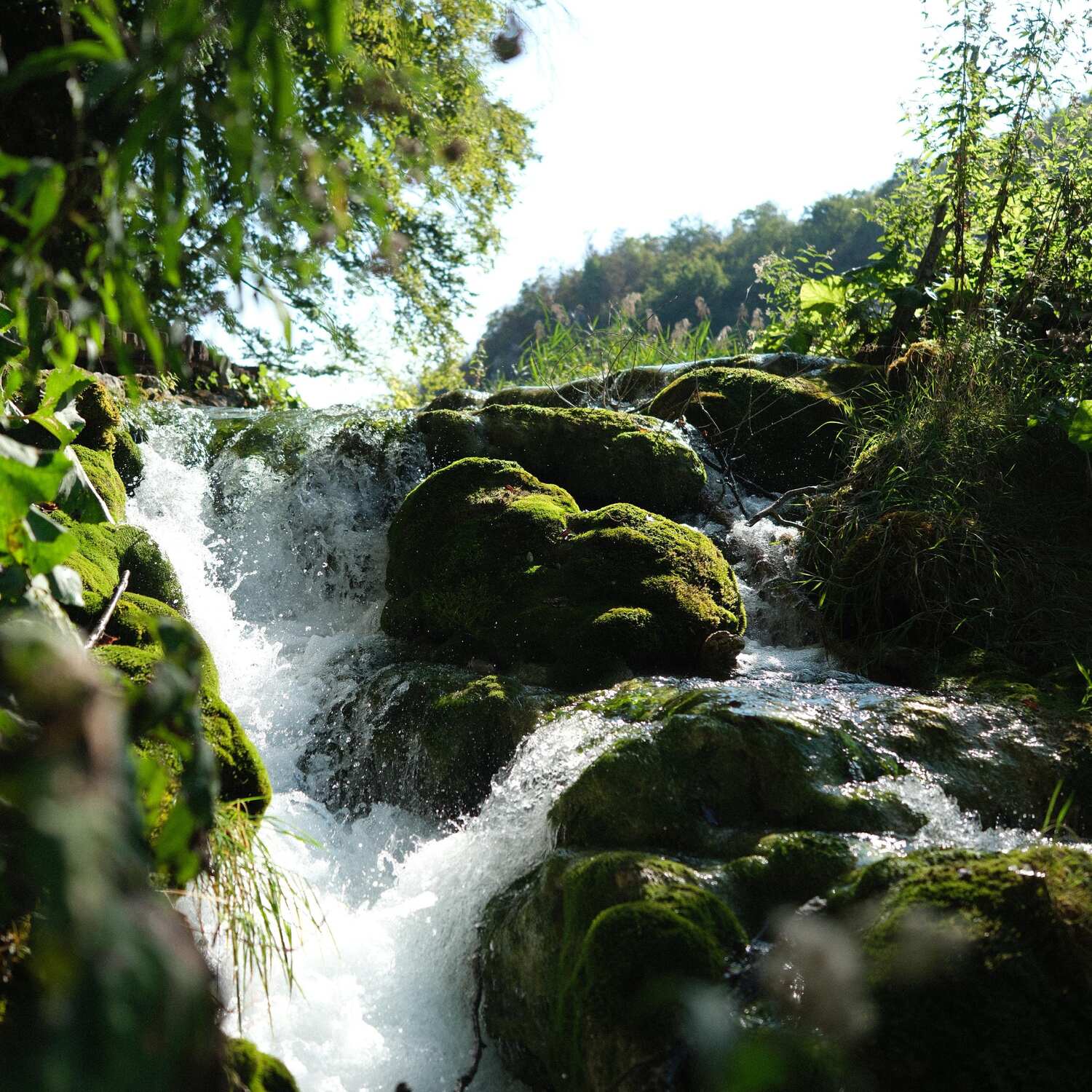 In search of the sea