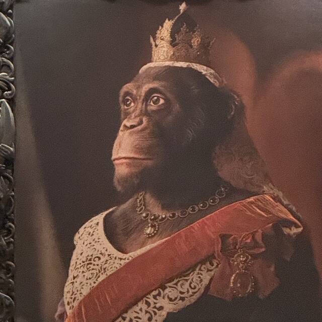 Einrhoeneraufreisen