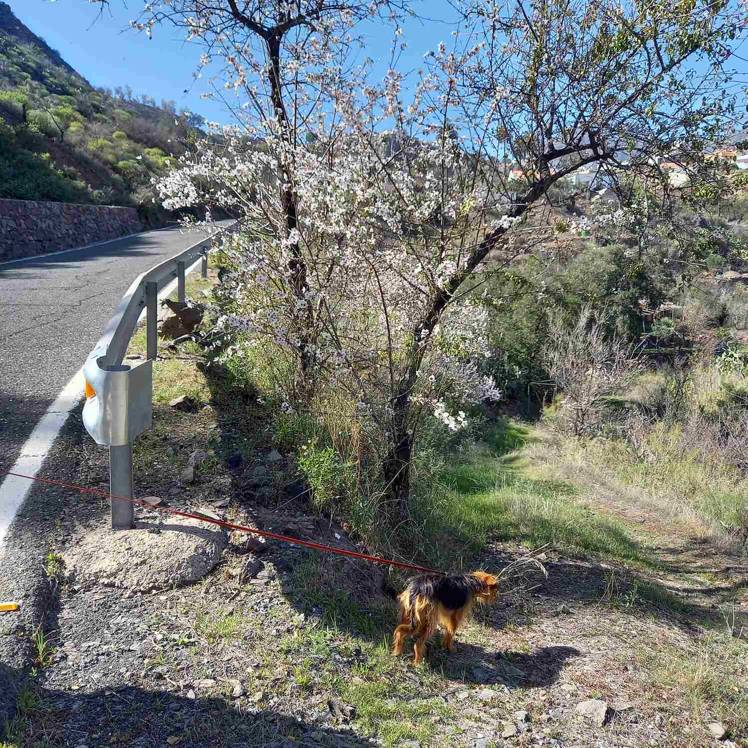 Gran Canaria 2
