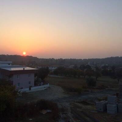 Gül Aksu