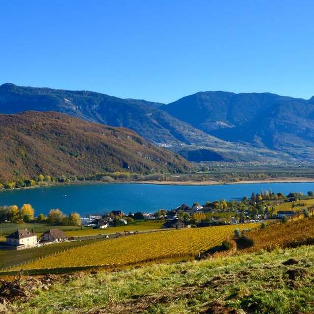 Kalterer See 2017