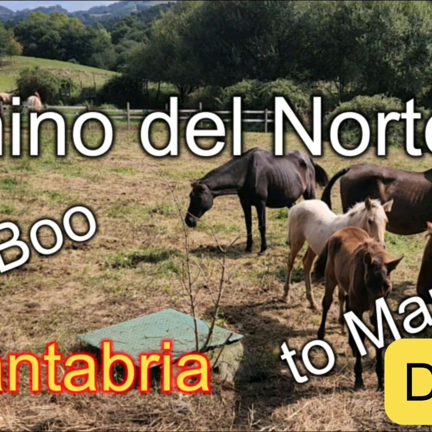 from Boo to Mar, Cantabria