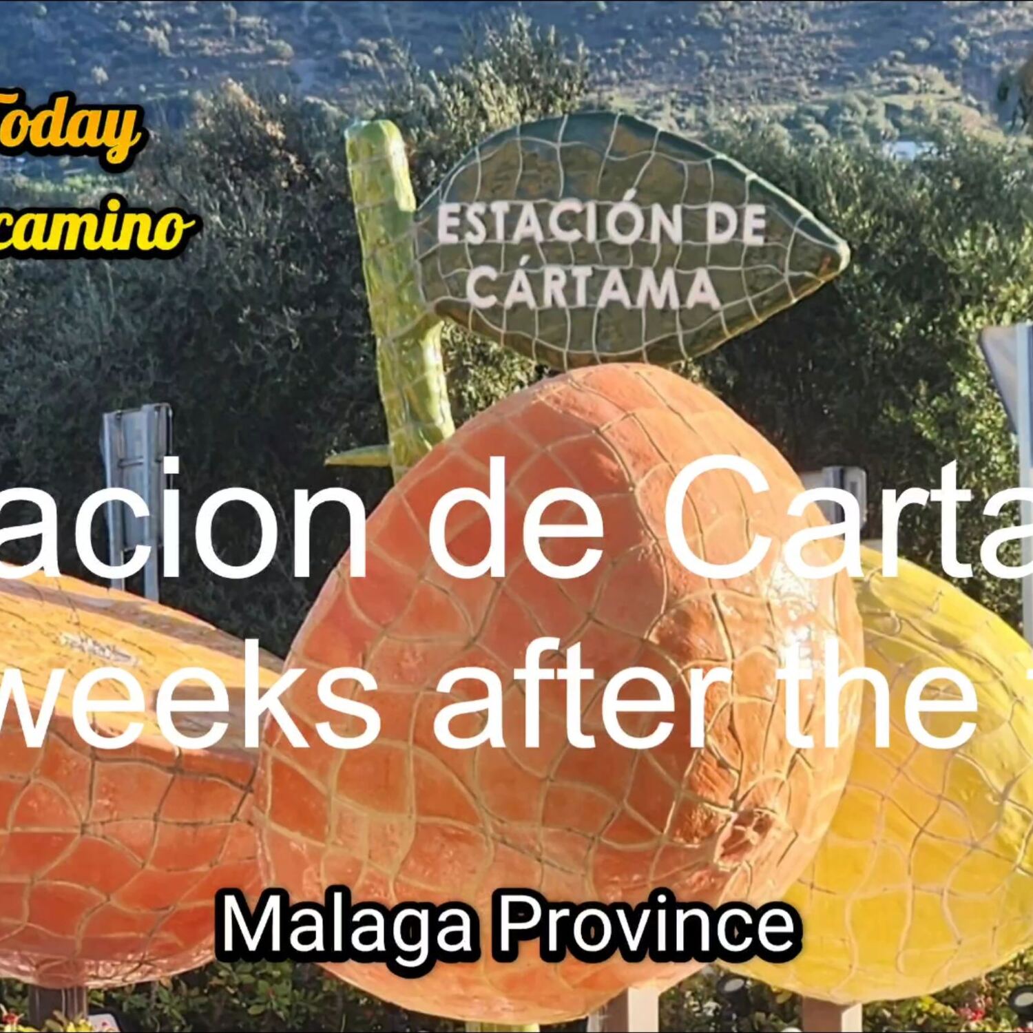 Estacion de Cartama