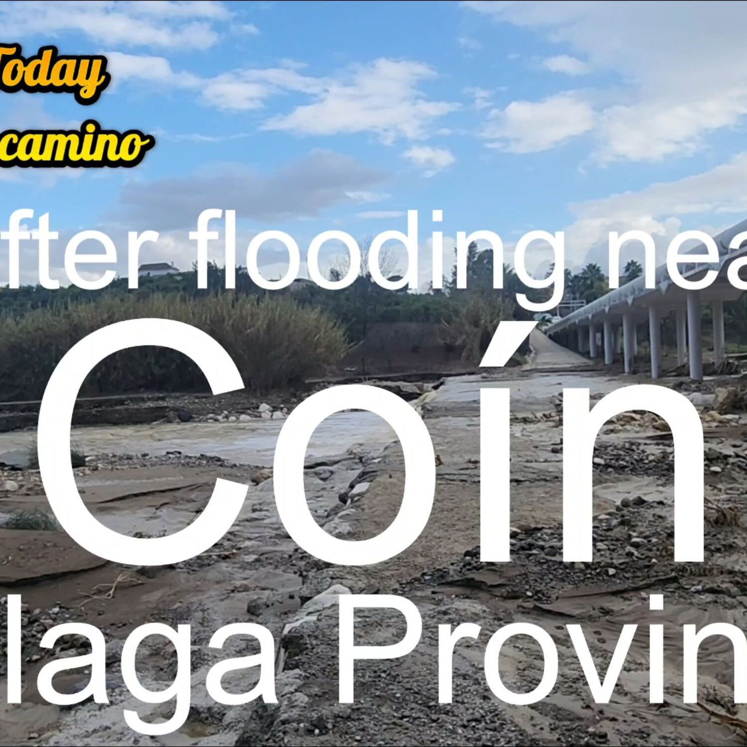 Coin after flood