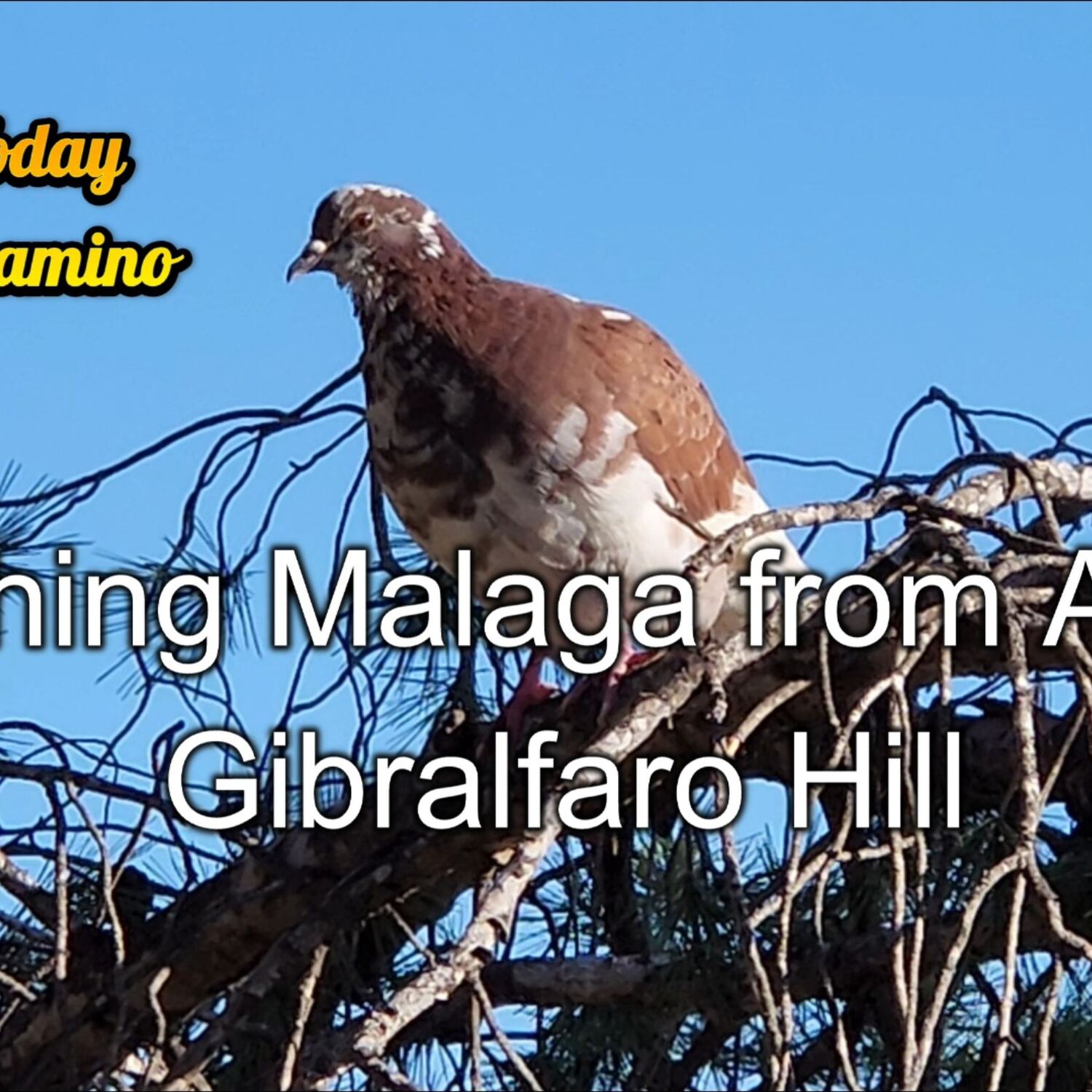 GIBRALFARO HILL
