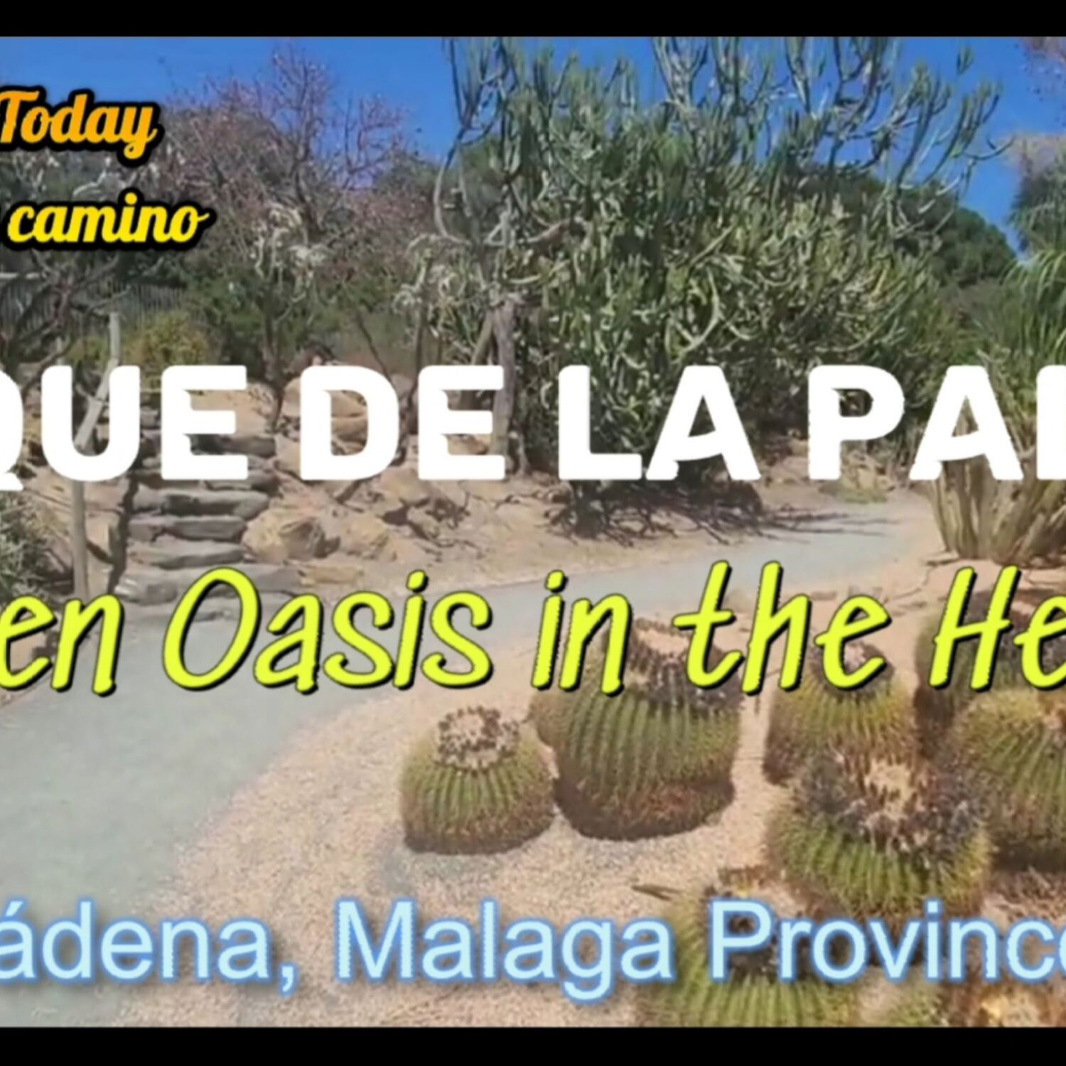 Parque De La Paloma Benalmaden