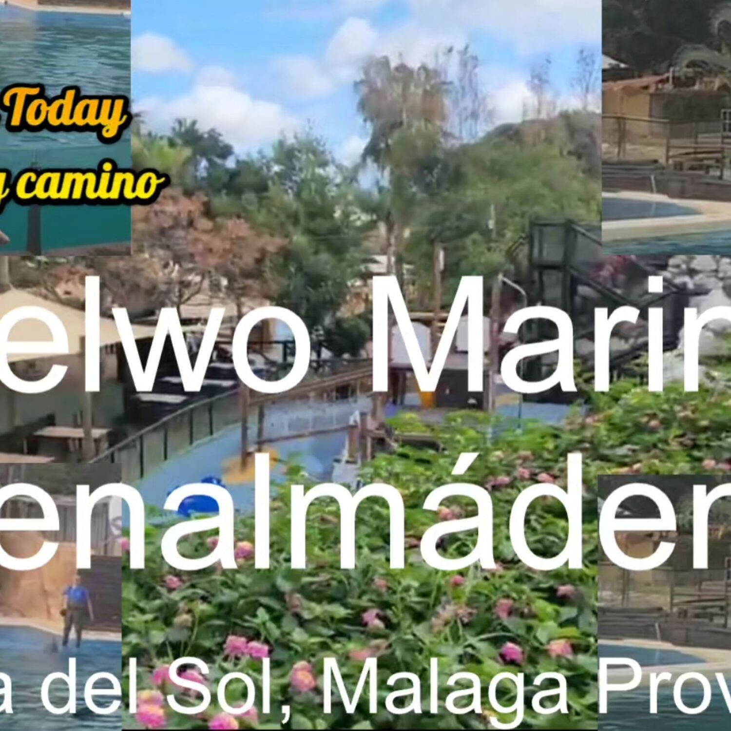 Selwo Marina Benalmadena Zoo