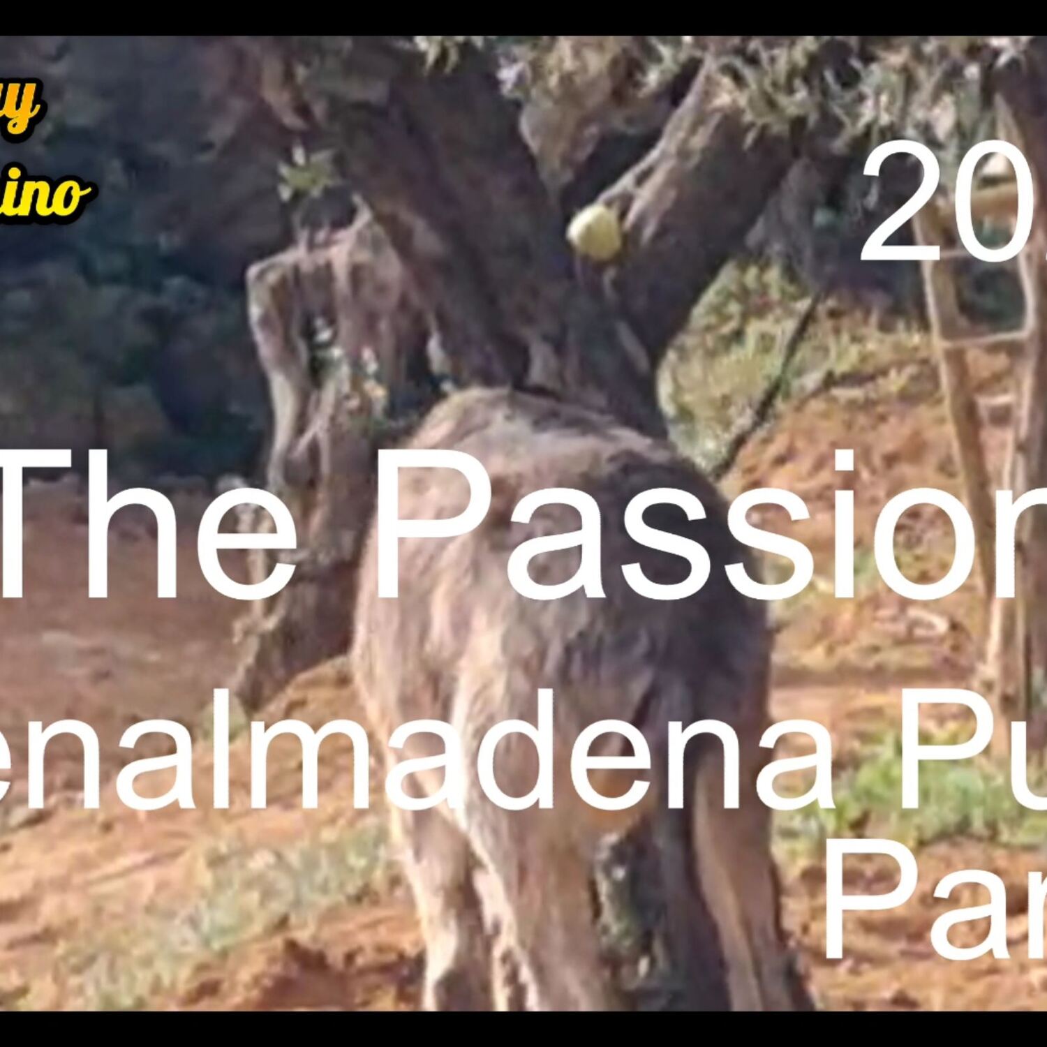 The Passion Benalmadena Pueblo