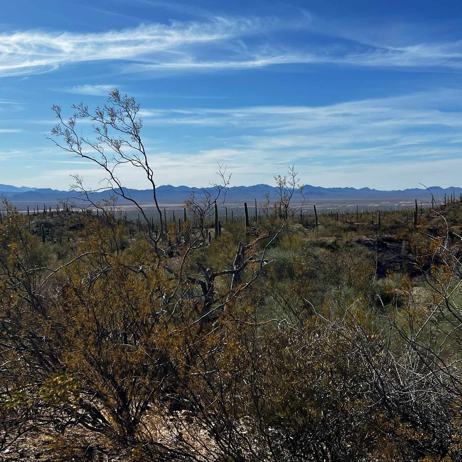 Tucson