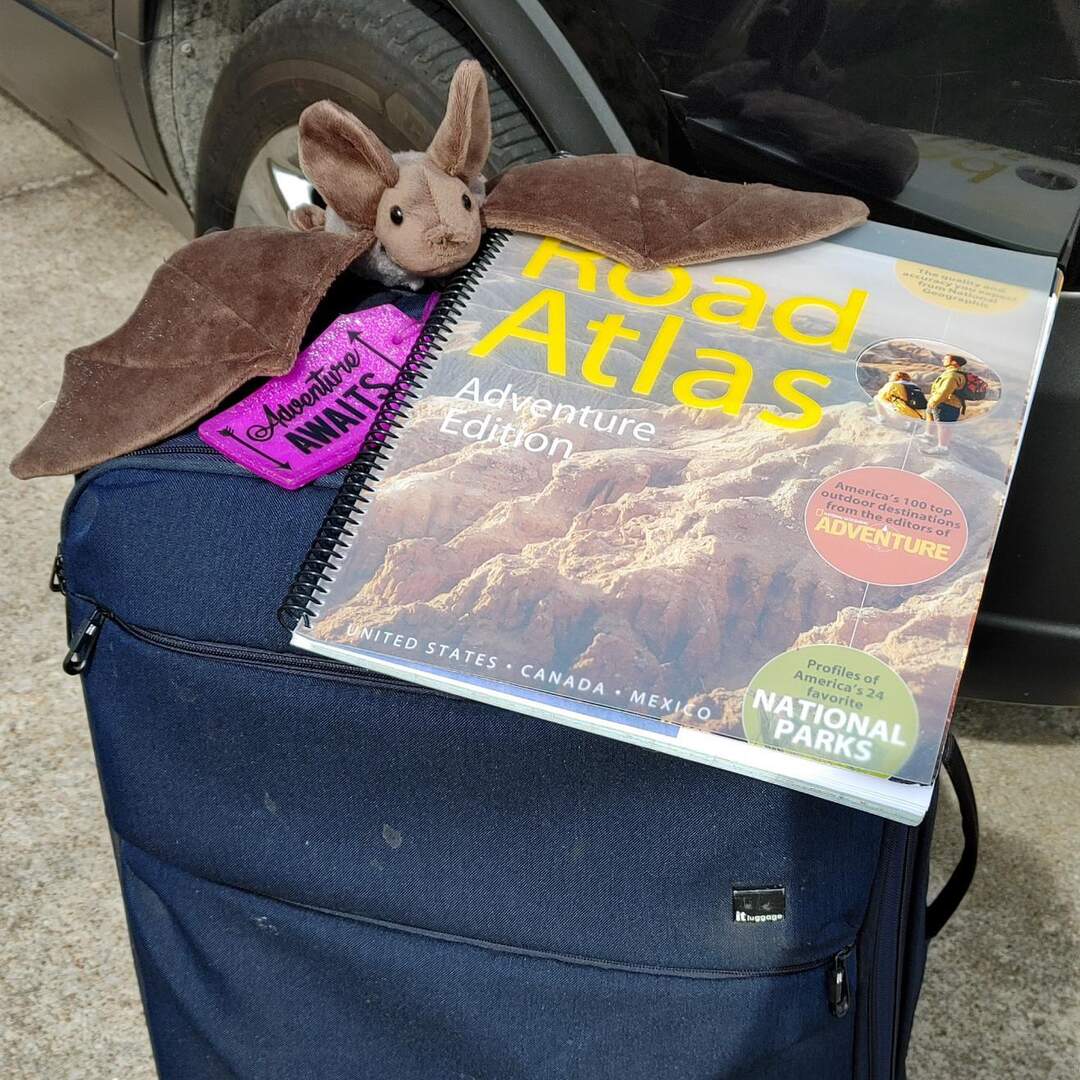 Arizona Adventures