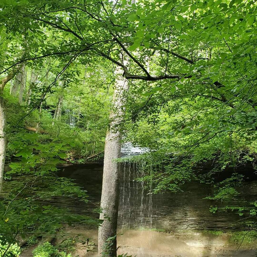 Touring Tennessee