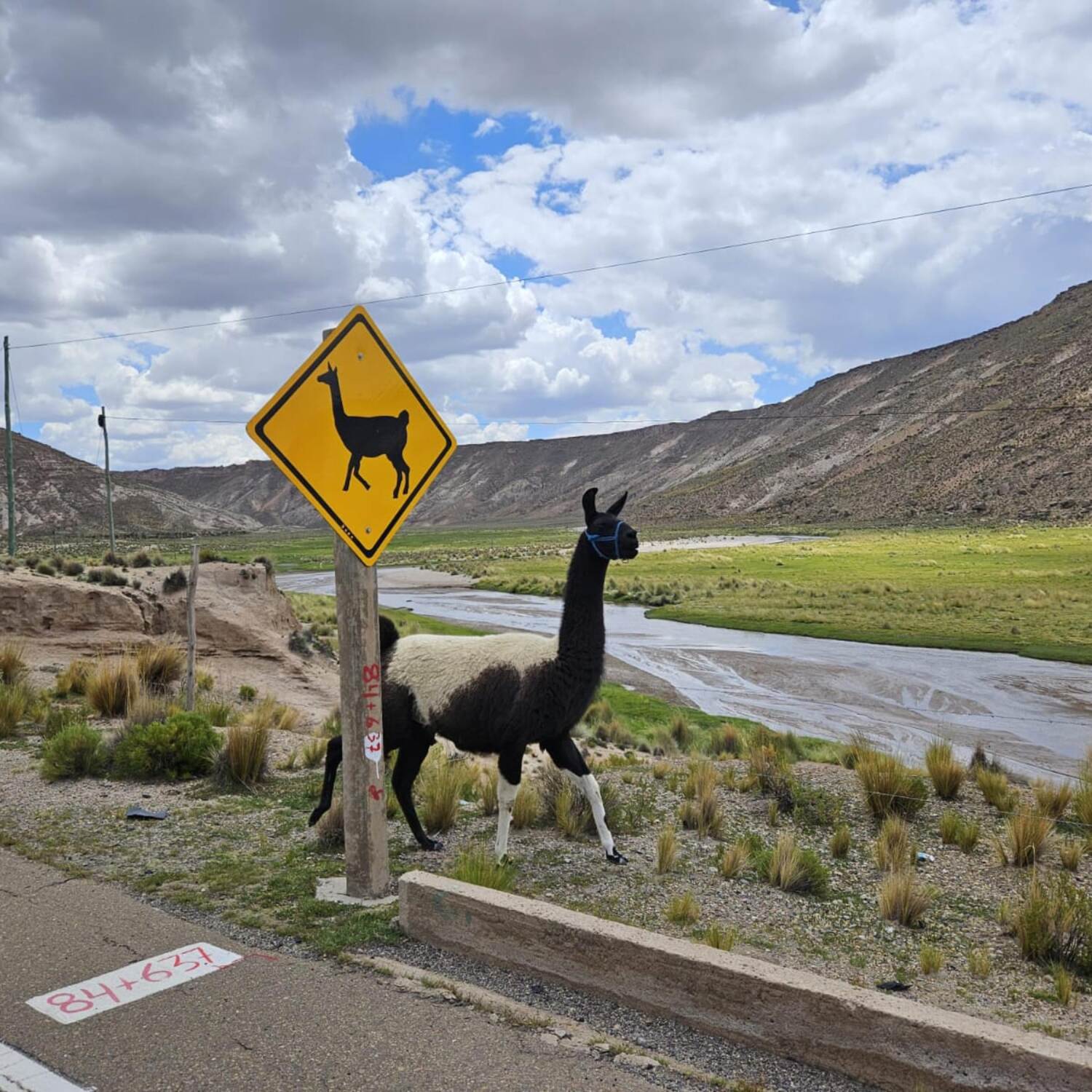 Aventuras en Bolivia