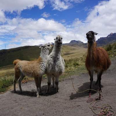 SOUTH AMERICA
