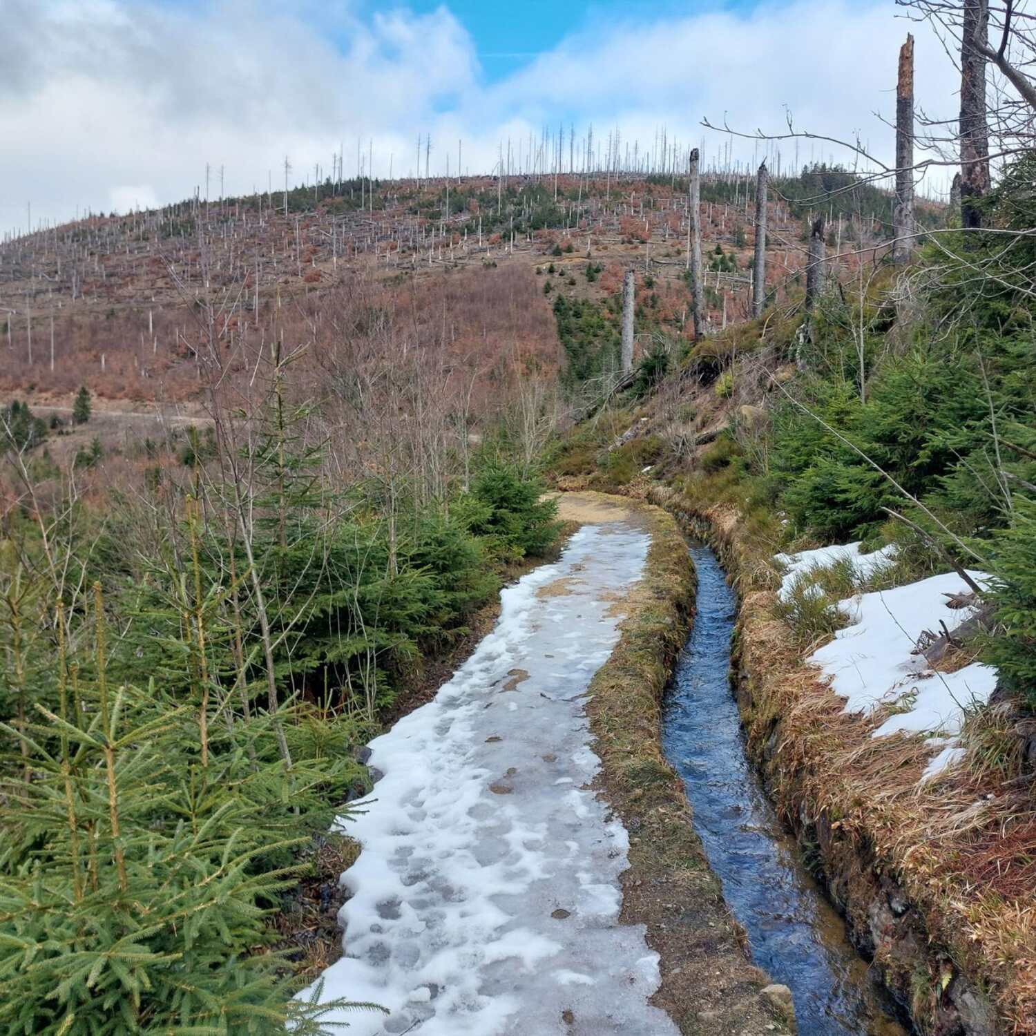 Harzer-Hexen-Stieg 2026