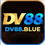 DV88